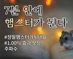 당신의 주파수에 응답함! 들으면 햄스터 되는 주파수